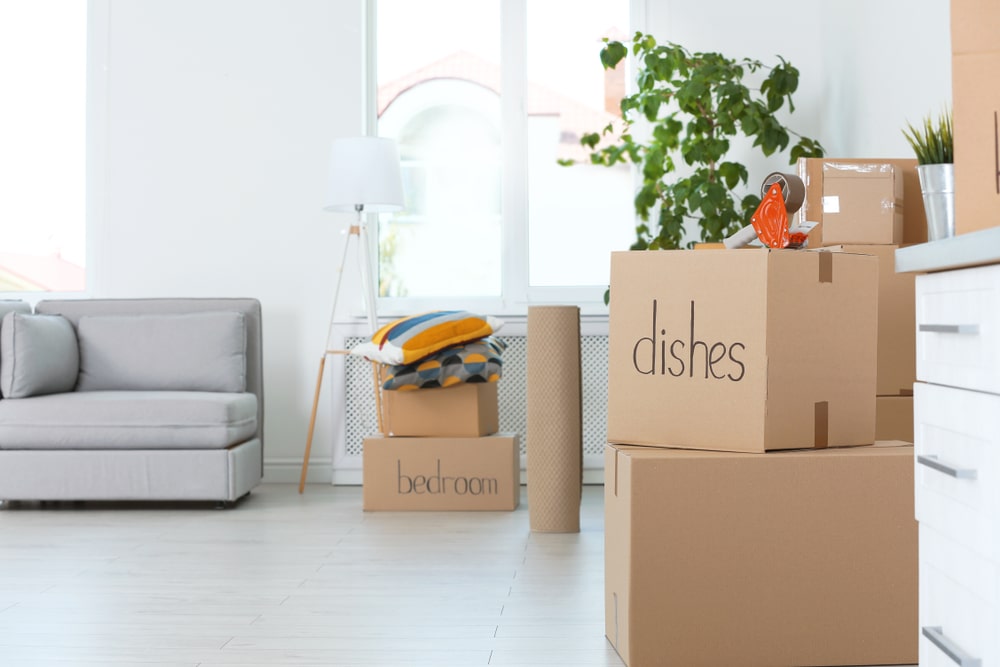 Why Hire a Professional Moving Company in New York City?