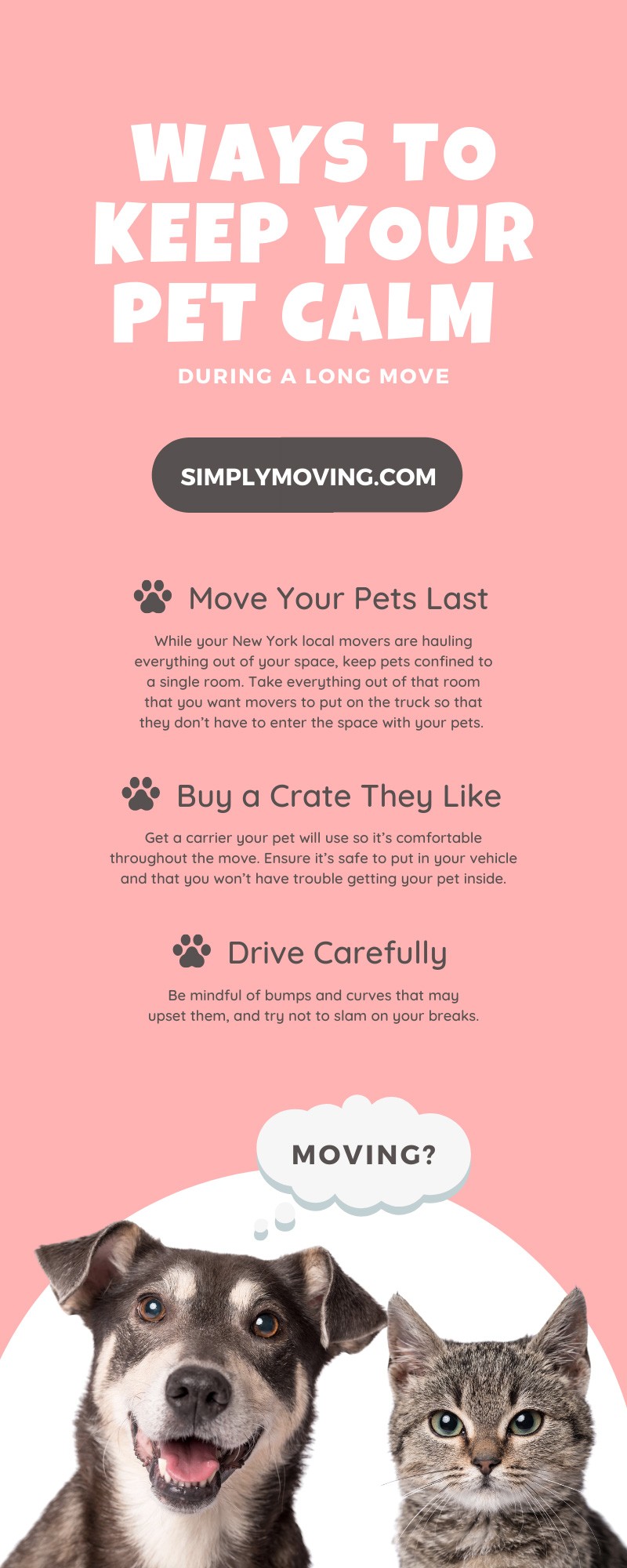 10 Ways To Keep Your Pet Calm During a Long Move